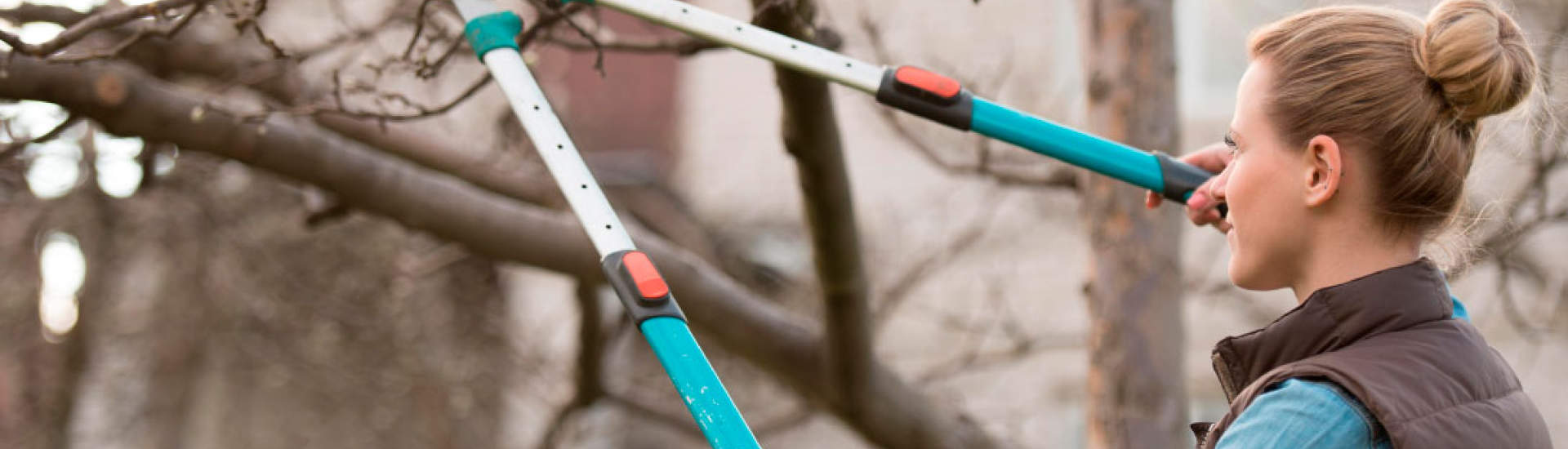 woman shearing tree branch